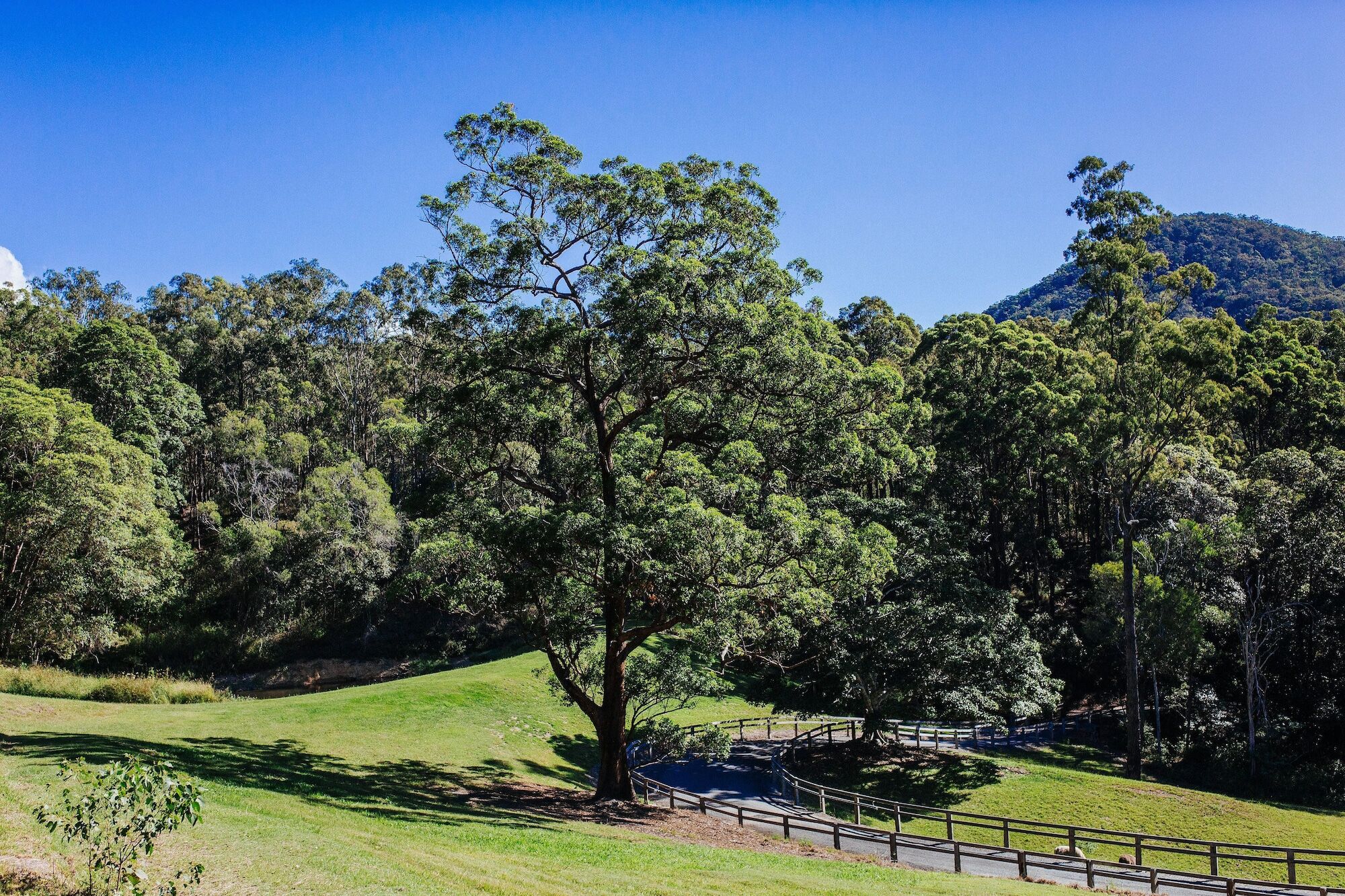 Ruffles Lodge And Spa Willow Vale Luaran gambar